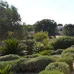 Hotel Lavanda Noci