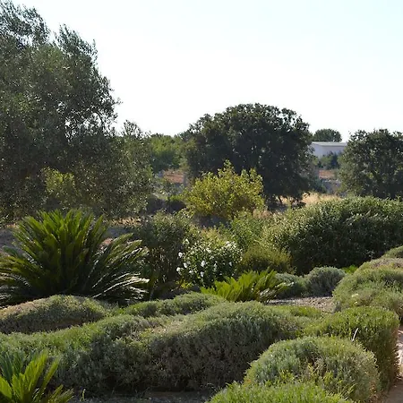 Hotel Lavanda Noci