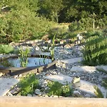 Lavanda 诺西