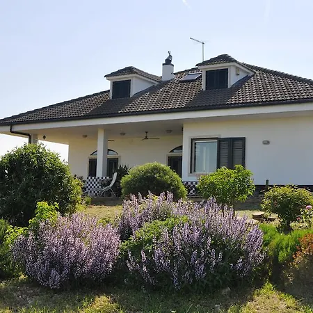 Lavanda