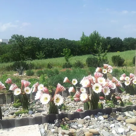Bed & Breakfast Lavanda 3*