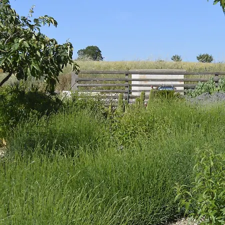 Bed & Breakfast Lavanda Noci