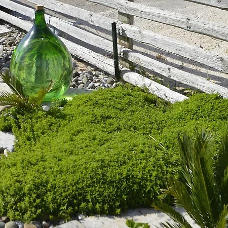 Bed & Breakfast Lavanda