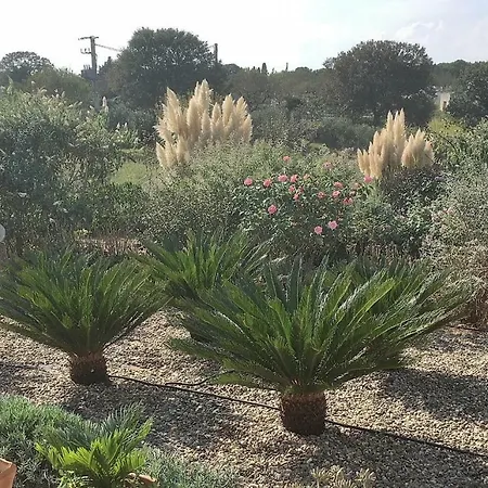 Szálloda Lavanda Noci