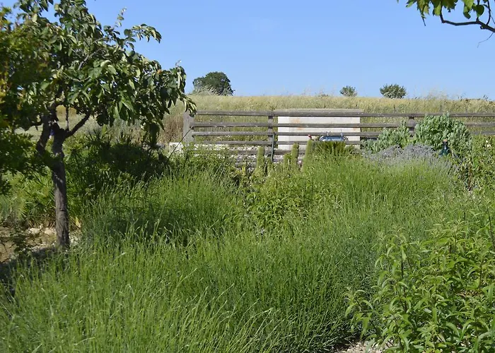 מלון Lavanda נוצ'י
